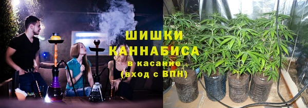 не бодяженный Заводоуковск