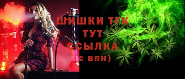 не бодяженный Заводоуковск