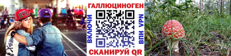 Купить где  Каменка  Галлюциногенные грибы Cubensis 